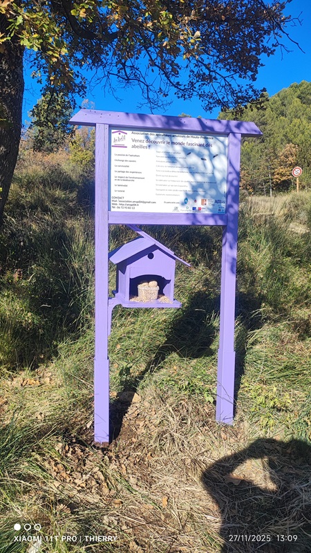 IMG 20251127 130915 Panneau Thomassine